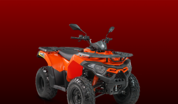 ATV 250cc Kırmızı 2020