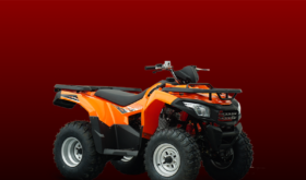 ATV 250cc Turuncu 2020